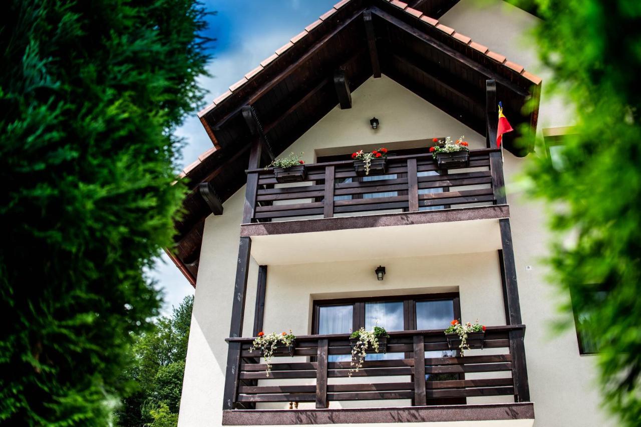 Pensiunea Poienita Albac Exterior foto