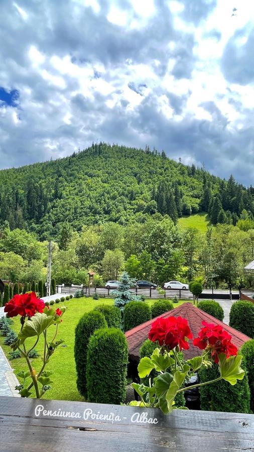 Pensiunea Poienita Albac Exterior foto