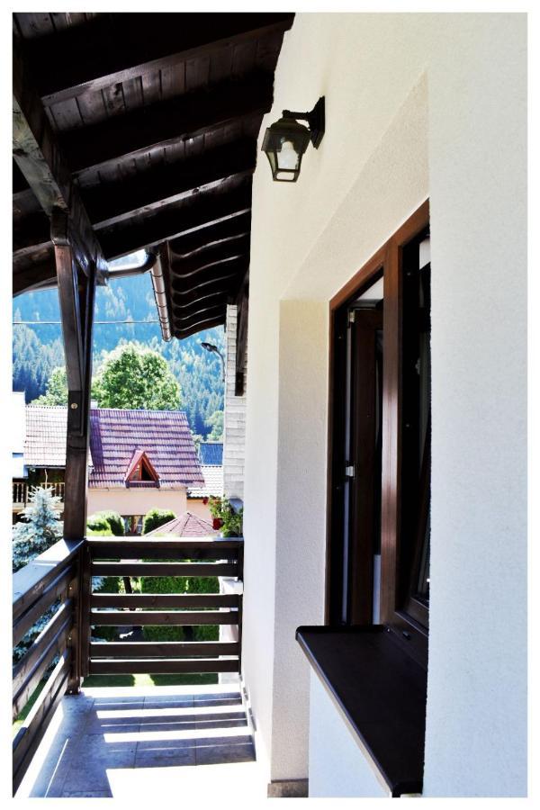 Pensiunea Poienita Albac Exterior foto