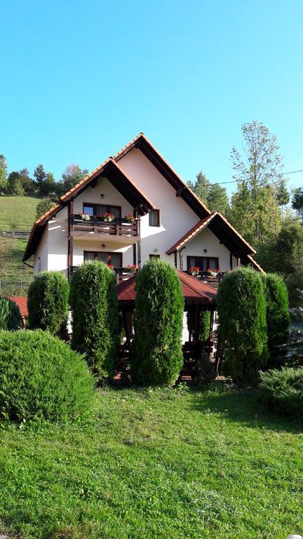 Pensiunea Poienita Albac Exterior foto